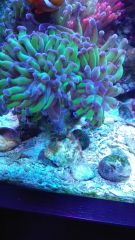 1456858813967 2048445834