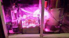 Sump 29-02-2016