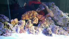 Awarium 450 L w obiegu