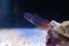 140617 J morska produkty 0497