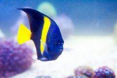 140617 J morska produkty 0343