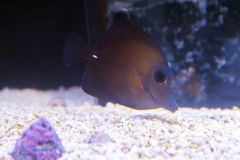 140617 J morska produkty 0436