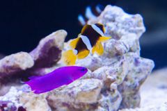 140617 J morska produkty 0439