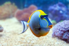 140617 J morska produkty 0320