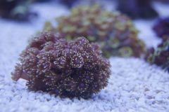 Zdjęcia na prośbę klientów