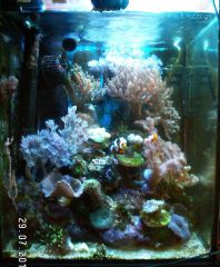 akwarium2 29.07.2014