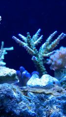 WP 20150419 20 34 41 Pro