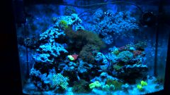 WP 20150716 22 23 57 Pro