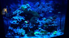 WP 20150716 22 23 41 Pro