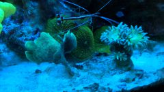 WP 20150608 20 44 59 Pro