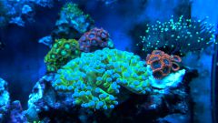 WP 20150608 20 45 19 Pro