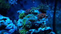 WP 20150716 22 02 44 Pro