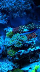 WP 20150716 22 23 29 Pro