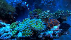 WP 20150629 18 41 14 Pro