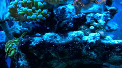 WP 20150716 22 24 48 Pro