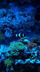 WP 20150716 22 24 36 Pro