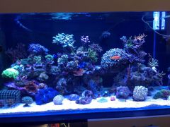 Tak to wyglada na dzien 7 Wrzesień 2014