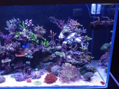 Przeróbka prawej strony