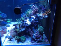 Przeróbka prawej strony-widok boczny