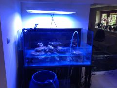 Układanie i zalewanie nowego zbiornika