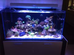 432l kilka dni po przekładce