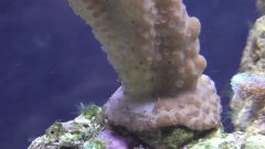 Kopia (2) S1070005 kopia