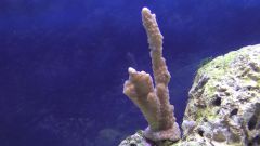 Kopia (2) S1070004 kopia