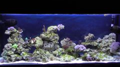 Kopia (2) S1070019 kopia