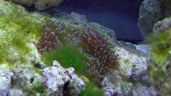 Kopia (2) S1070017 kopia