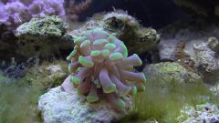 Kopia (2) S1070010 kopia