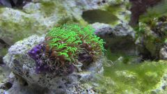 Kopia (2) S1070016 kopia