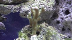 Kopia (2) S1070003 kopia