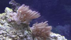 Kopia (2) S1070015 kopia