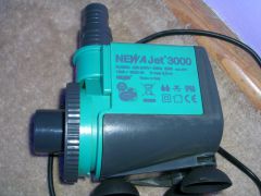 DSCN0264