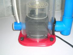 DSCN0245