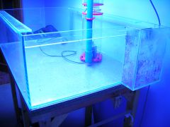 DSCN0258