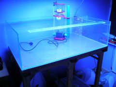 DSCN0249