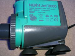 DSCN0261