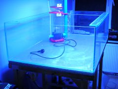 DSCN0255