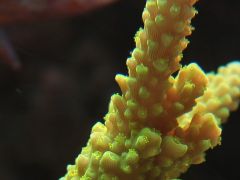 Proszę o identyfikację