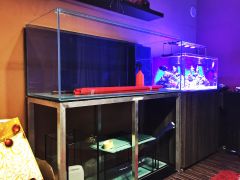 010dc421c54a0103ada217f7f6b09152fe658bce3c