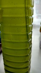 IMG 20160407 115414652 HDR