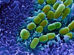 99f4250c6e60feadaf70ba7618ee51d7