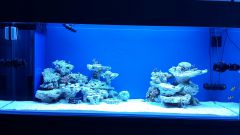 20150204 191124 resized