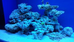 20150204 191138 resized