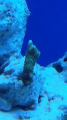 20150128 182737 resized 1