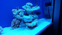 20150204 191203 resized