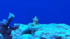 20150204 191315 resized