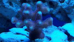 20150204 191217 resized