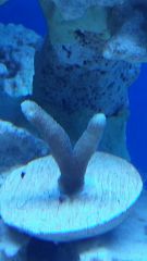 20150128 182754 resized